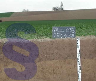 Das Bild zeigt einen Bodenprofilanschnitt von einem Ackerboden sowie ein überlagertes Paragraphenzeichen 