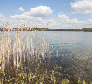 Wiesensee im Westerwald (Archivbild)