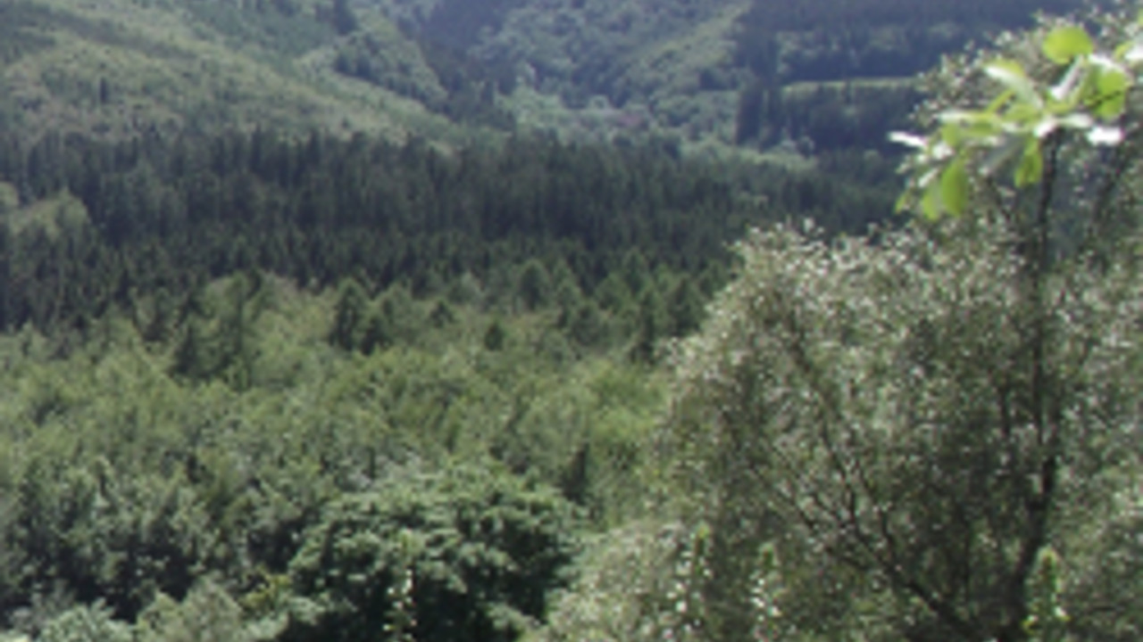 Blick über den Hunsrück, Foto: Gerhard Hänsel