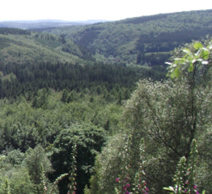 Blick über den Hunsrück, Foto: Gerhard Hänsel