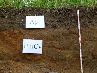 Das Bild zeigt einen Bodenprofilaufbau eines Ackerbodens