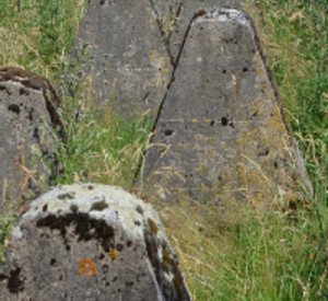 Höckerlinie des Westwalls