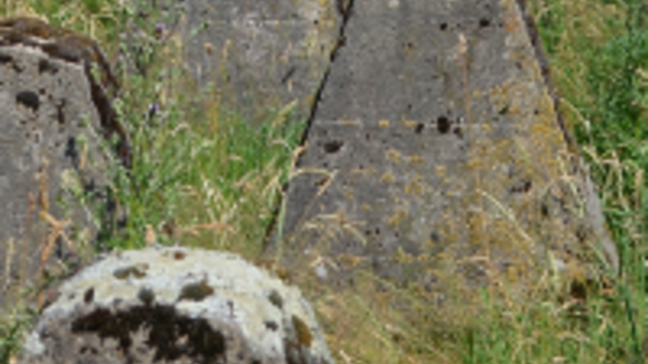 Höckerlinie des Westwalls