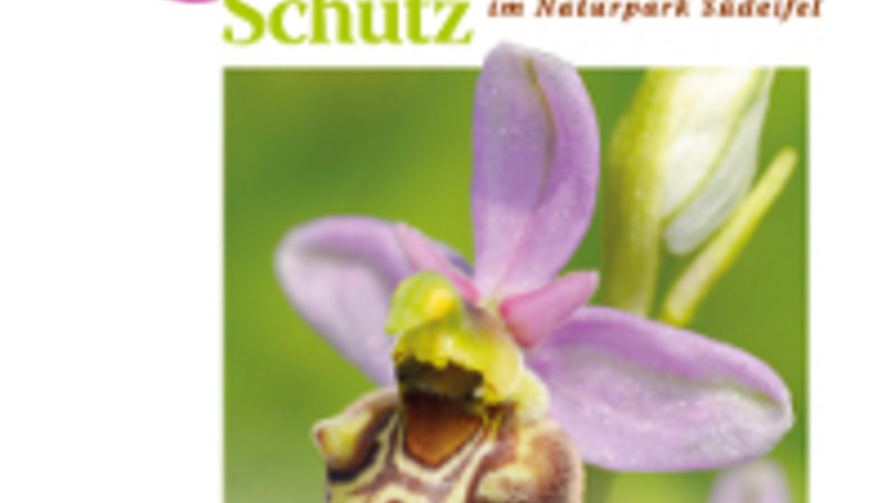 Titelseite der Broschüre 'Orchideen Schutz im Naturpark Südeifel'