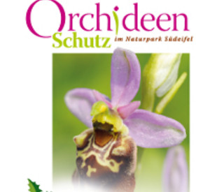 Titelseite der Broschüre 'Orchideen Schutz im Naturpark Südeifel'