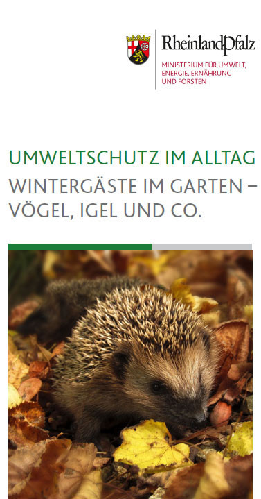 Titelseite des Flyers "Umweltschutz im Alltag: Wintergäste im Garten – Vogel, Igel und Co.