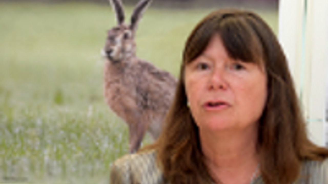 Umweltministerin Ulrike Höfken