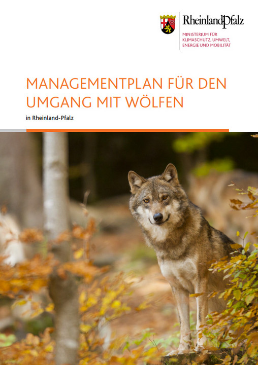 Titelseite der Broschüre "Managementplan für den Umgang mit Wölfen in Rheinland-Pfalz"