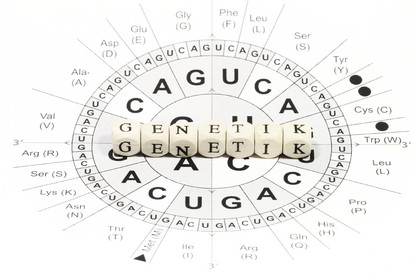 Würfel mit Buchstaben bilden das Wort Genetik, im Hintergrund sind Buchstaben