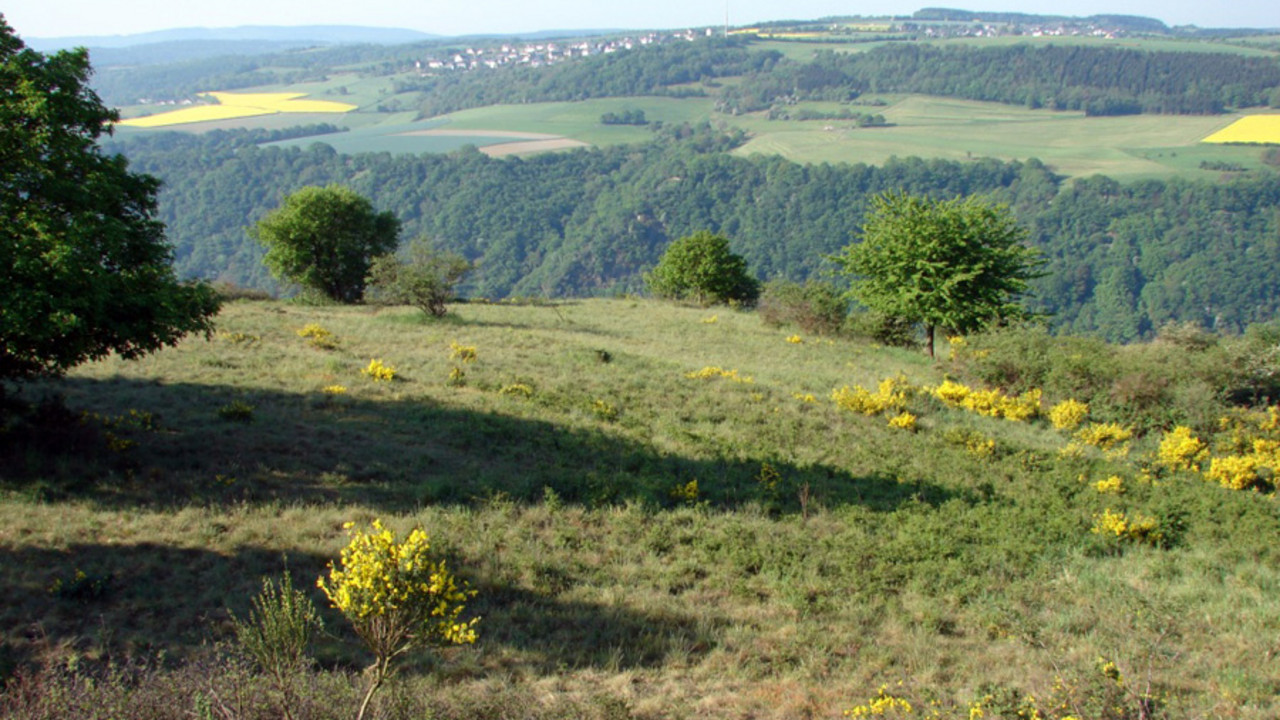 Dörscheider Heide