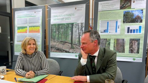 Katrin Eder: „Rheinland-pfälzische Wälder leiden stark unter den Folgen des Klimawandels“