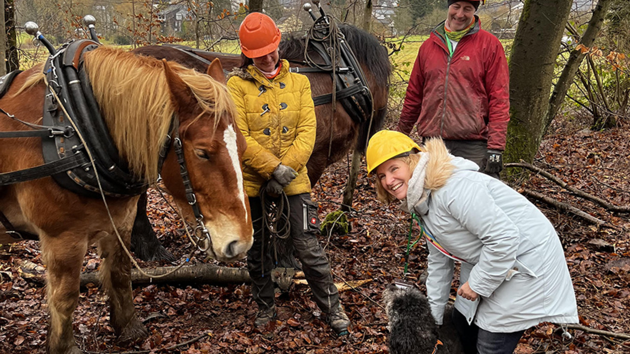 Klimaschutzministerin Katrin Eder mit Rückepferden im Wald