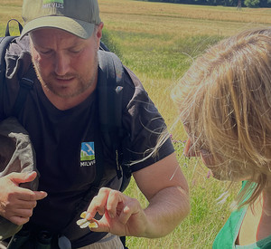 Unterwegs auf den Orchideenwiesen bei Siesbach: Umweltministerin Katrin Eder und Rolf Klein, Geschäftsführer vom Planungsbüro Milvus