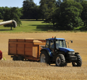 Getreideernte mit Traktor, Foto: istockphoto.de