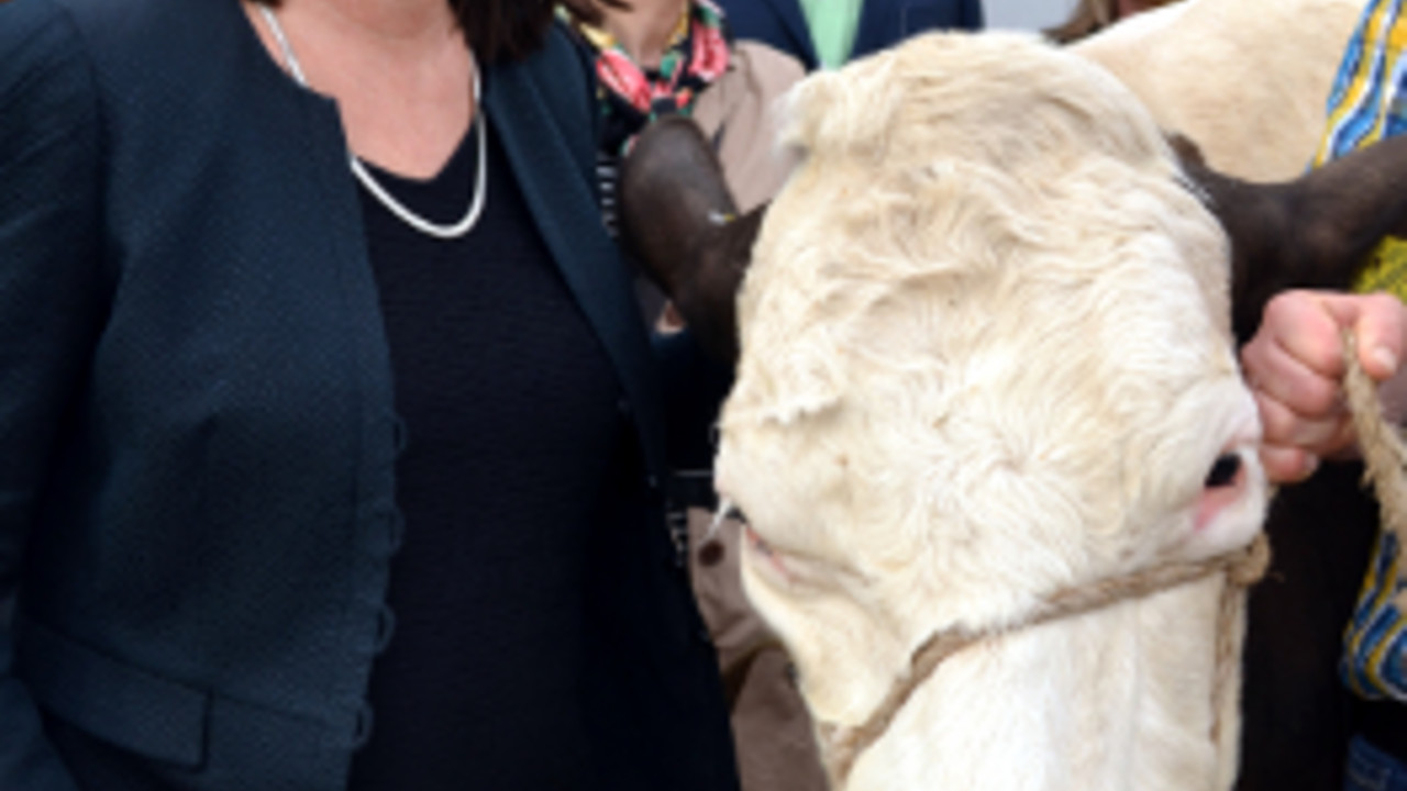 Ulrike Höfken beim Besuch der Käserei Fuchsen