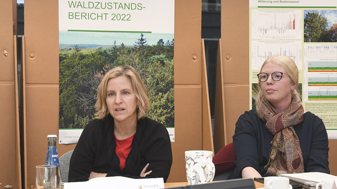 Klimaschutzministerin Katrin Eder stellt in einer Pressekonferenz den Waldzustandsbericht 2022 vor.