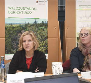 Klimaschutzministerin Katrin Eder stellt in einer Pressekonferenz den Waldzustandsbericht 2022 vor.