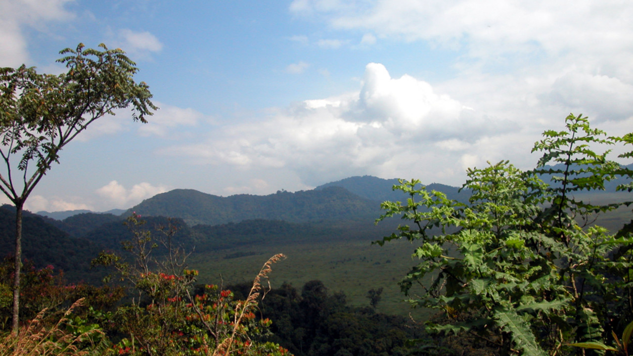 Bewaldete Berge Ruandas