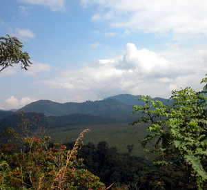 Bewaldete Berge Ruandas