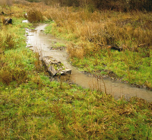 Nordelsheimer Bach