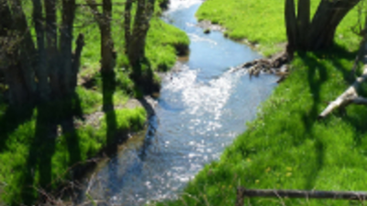 Wiese mit Bachlauf, Foto: LUWG Wiese mit Bachlauf, Foto: LUWG