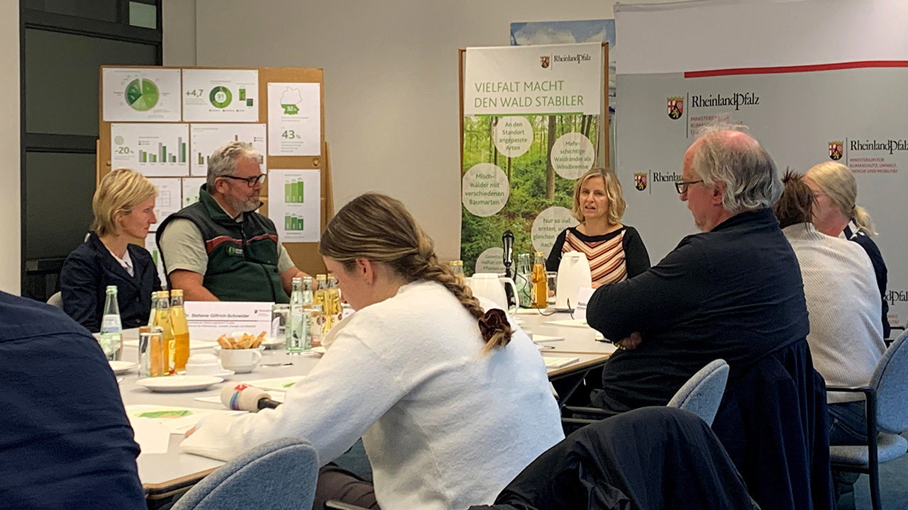 Klimaschutzministerin Katrin Eder stellt in einer Pressekonferenz die Ergebnisse der zehnjährlichen Vermessung des Waldes vor