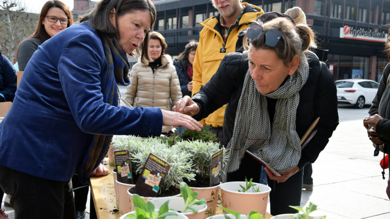 Aktion Grün Pflanzenaktion in Mainz