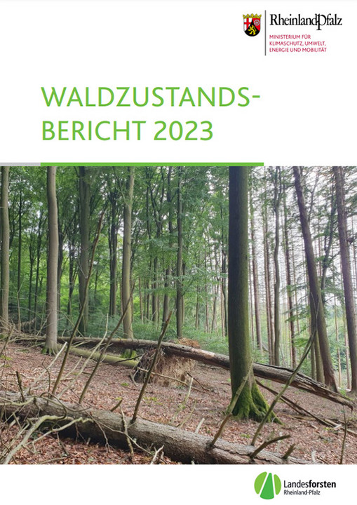 Titelseite der Broschüre "Waldzustandsbericht 2023"