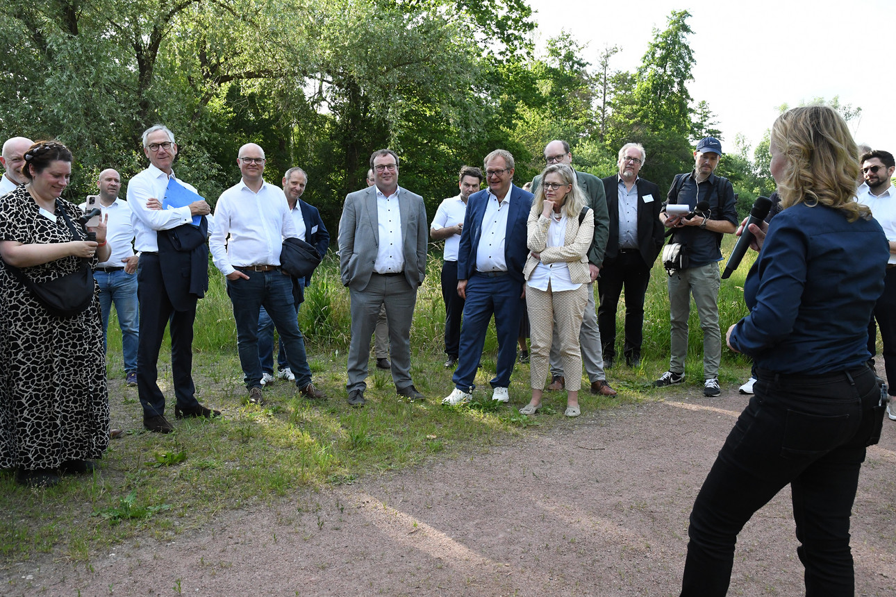 Am Rande der Konferenz besuchen Bundesumweltministerin Steffi Lemke und die Teilnehmerinnen und Teilnehmer der UMK ein Hochwasserrückhalteprojekt