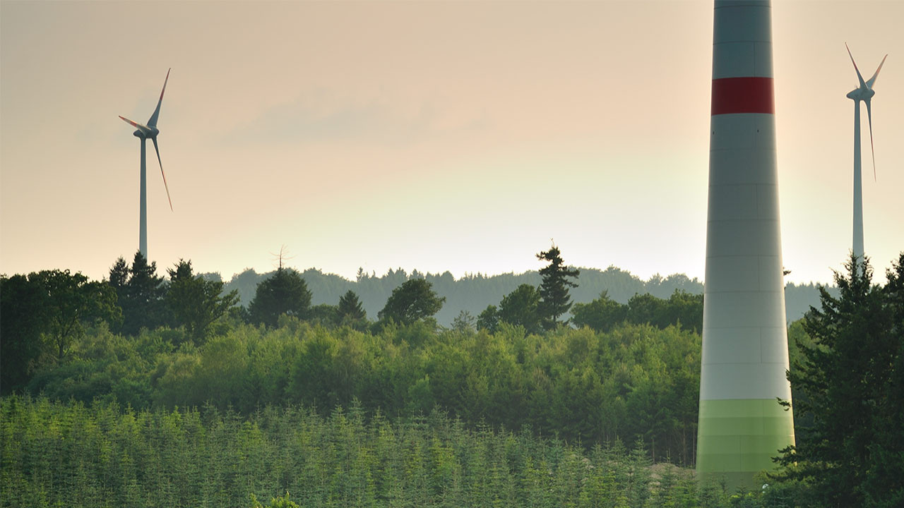 Windkraftanlagen im Wald