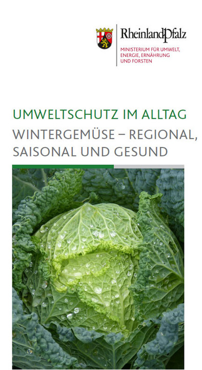 Titelseite des Flyers "Umweltschutz im Alltag: Wintergemüse - Regional, saisonal und gesund"