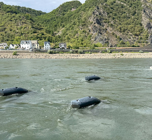 Drei Energyfische im Rhein