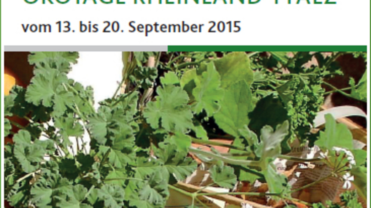 Ausschnitt aus dem Flyer Ökotage 2015 Ausschnitt aus dem Flyer Ökotage 2015