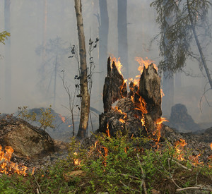 Waldbrand