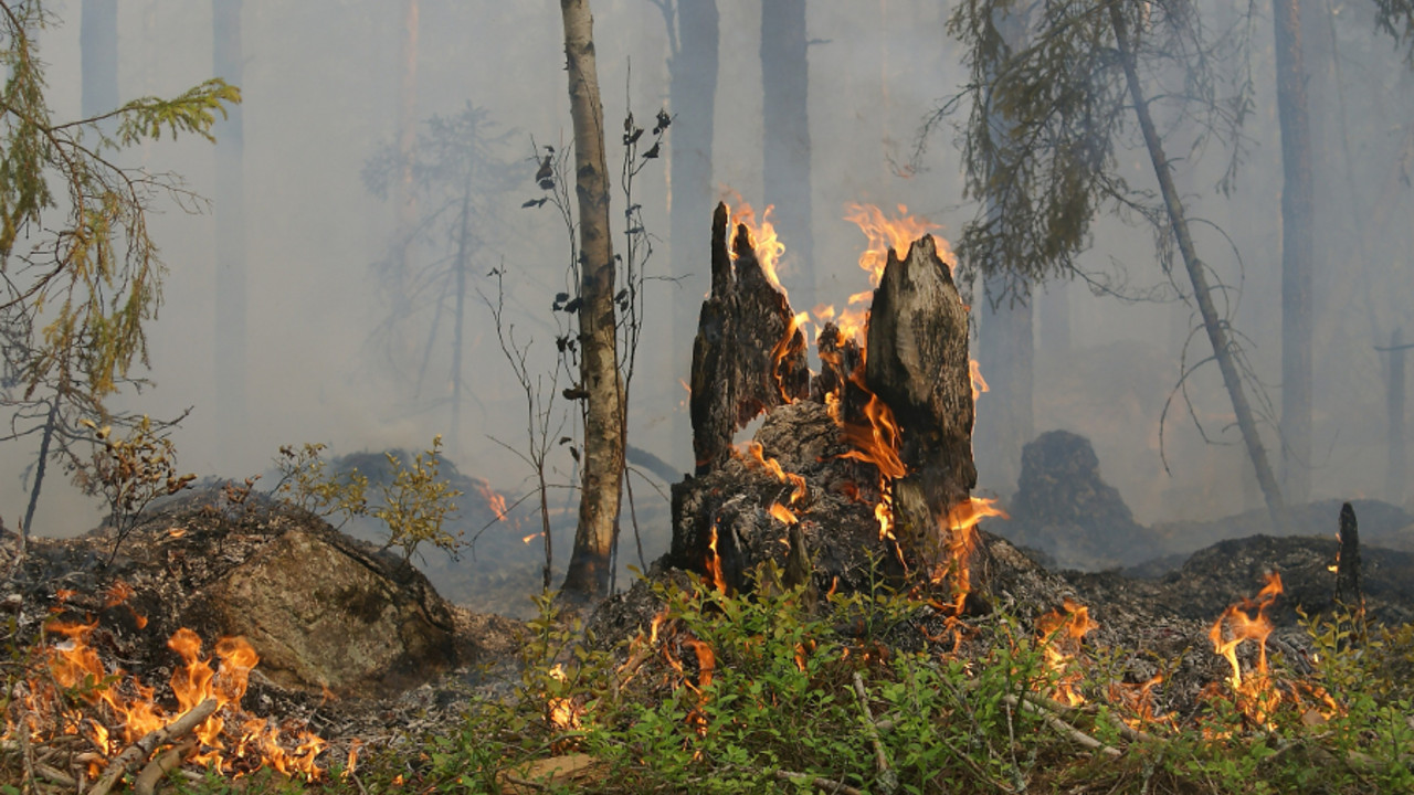 Waldbrand