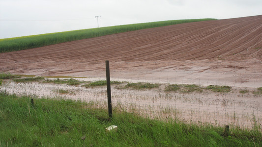 Das Bild zeigt eine Bodenerosion auf einer landwirtschaftlich genutzten Fläche