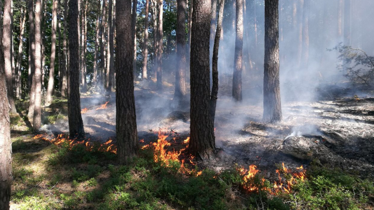 Waldbrand