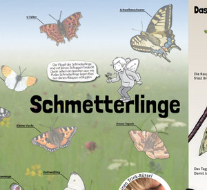 Bildausschnitt aus dem Entdeckerheft