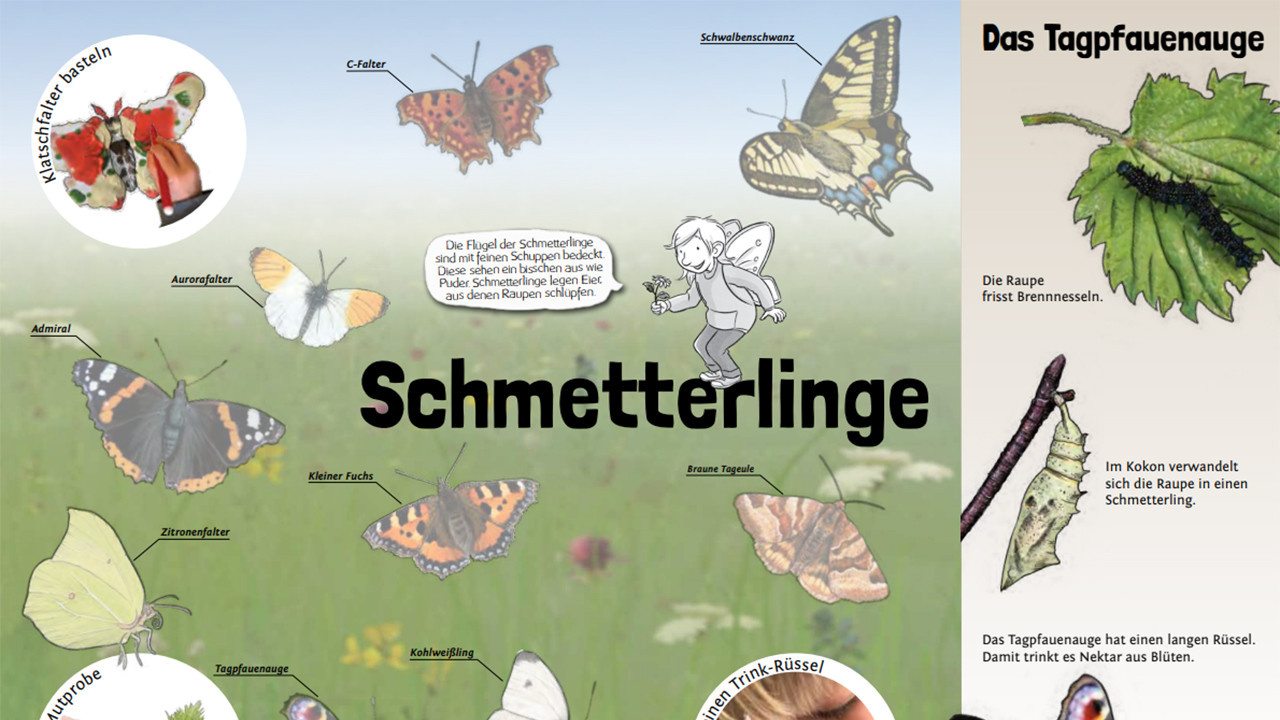 Bildausschnitt aus dem Entdeckerheft