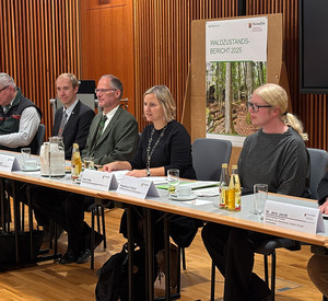 Auf einer Pressekonferenz stellt Klimaschutzministerin Katrin Eder den Waldzustandsbericht 2025 vor