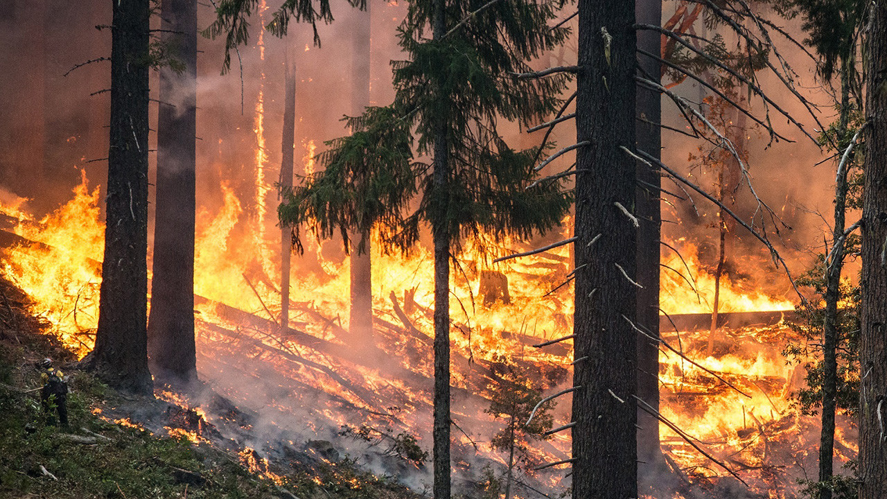 Waldbrand