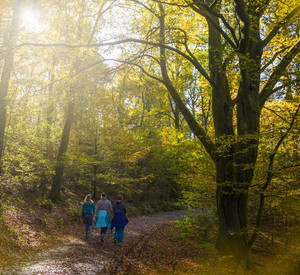Erholungsuchende im Herbstwald
