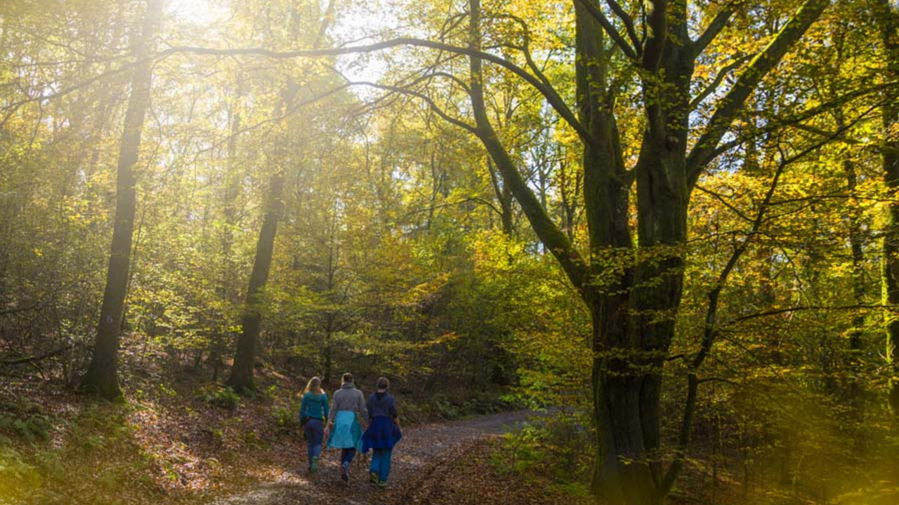 Erholungsuchende im Herbstwald