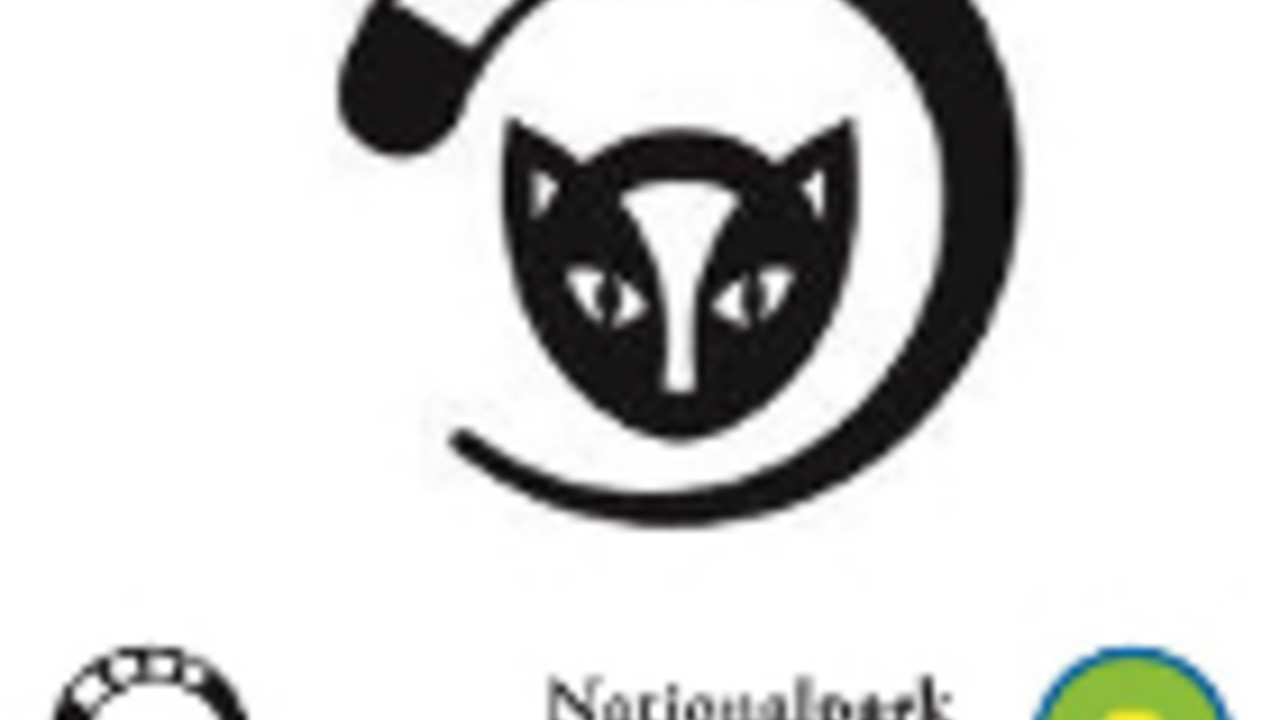 Nationalpark-Logo mit vergrößertem Wildkatzenausschnitt darüber