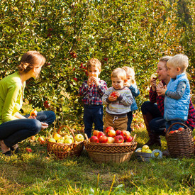 Zwei Frauen mit kleinen Kindern bei der Apfelernte