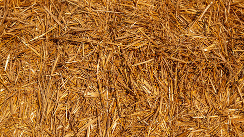 Katrin Eder: „Das Selbstbauprojekt GOLDEN HOUSE verfolgt einen innovativen Ansatz zur Erforschung von Stroh als nachhaltigem Baustoff“