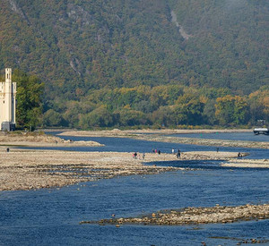 Niedrigwasser im Rhein am Maeuseturm