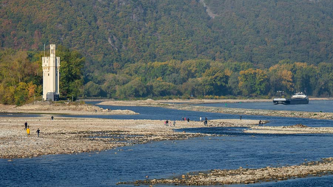 Niedrigwasser im Rhein am Maeuseturm