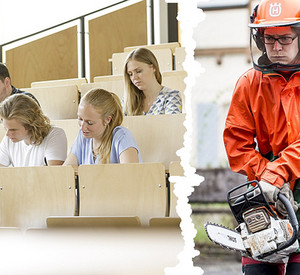 Kombinierte Ausbildung in der Forstwirtschaft