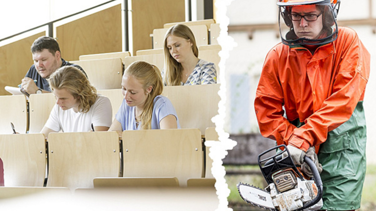 Kombinierte Ausbildung in der Forstwirtschaft